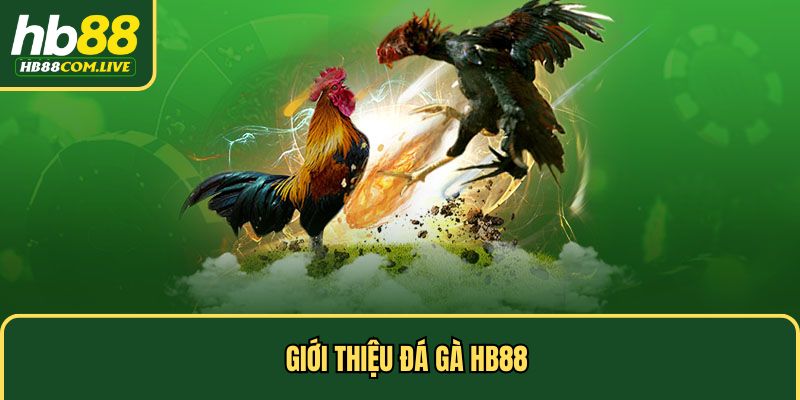 Giới thiệu đá gà HB88